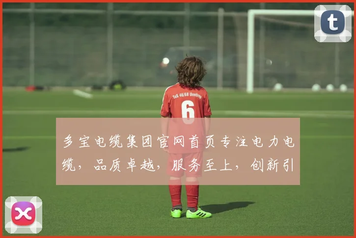 多宝电缆集团官网首页专注电力电缆，品质卓越，服务至上，创新引领，行业典范，三重优势，尽在多宝